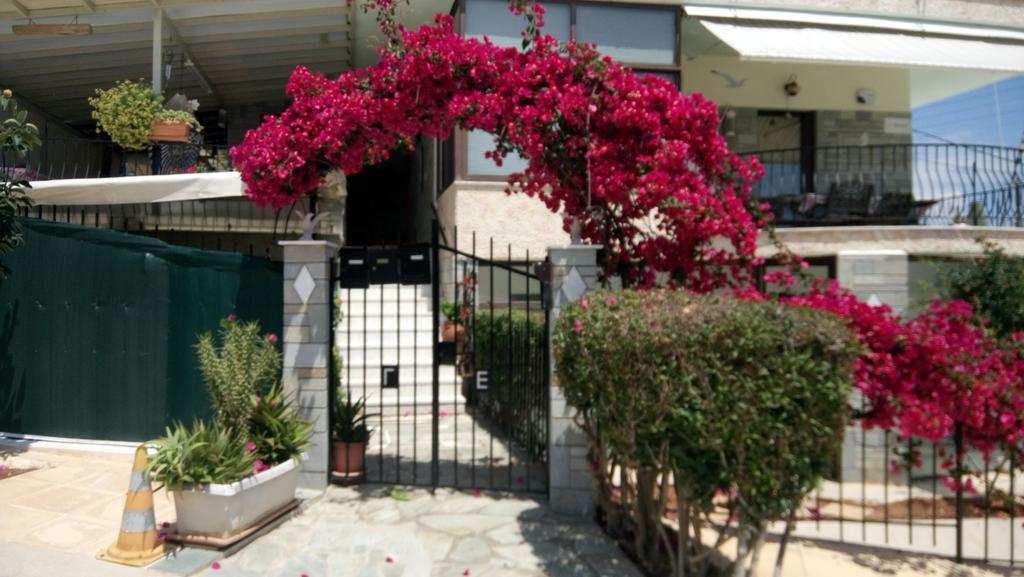 Villa George - Family Holidays เนอามากรี ภายนอก รูปภาพ